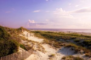 amelia island plantation