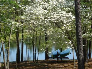 NC golf community