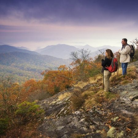 balsam mountain preserve