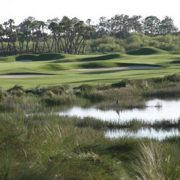 FL Golf Community