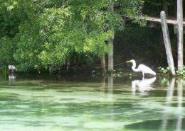 nature preserve