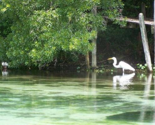 nature preserve