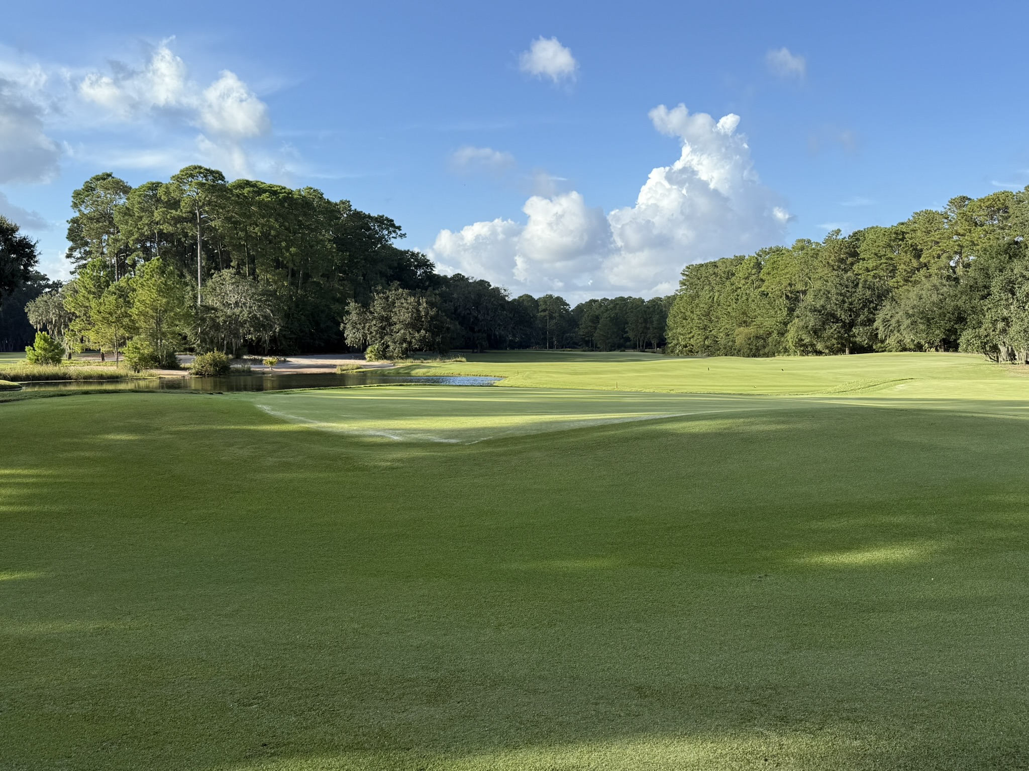 palmetto bluff
