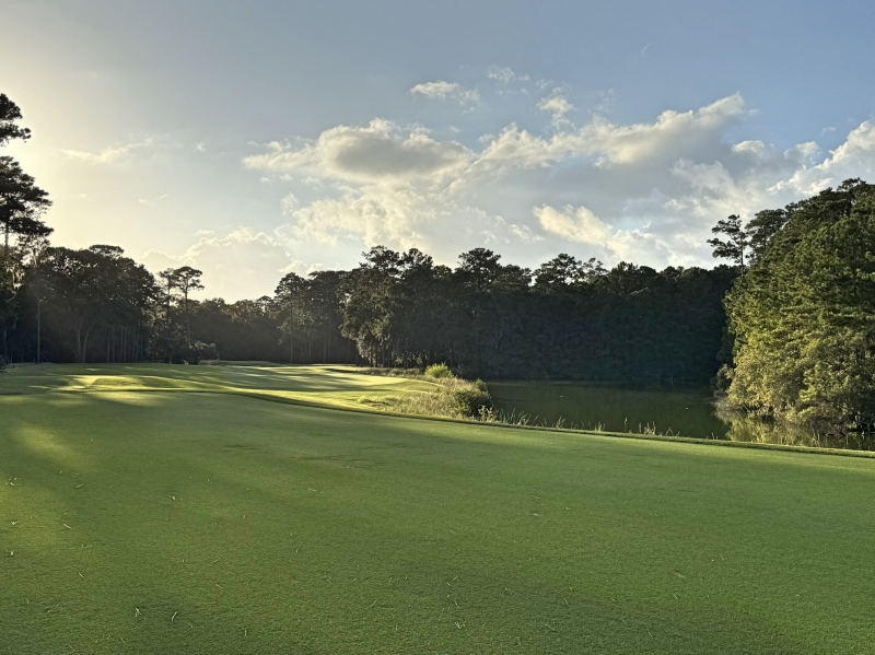palmetto bluff