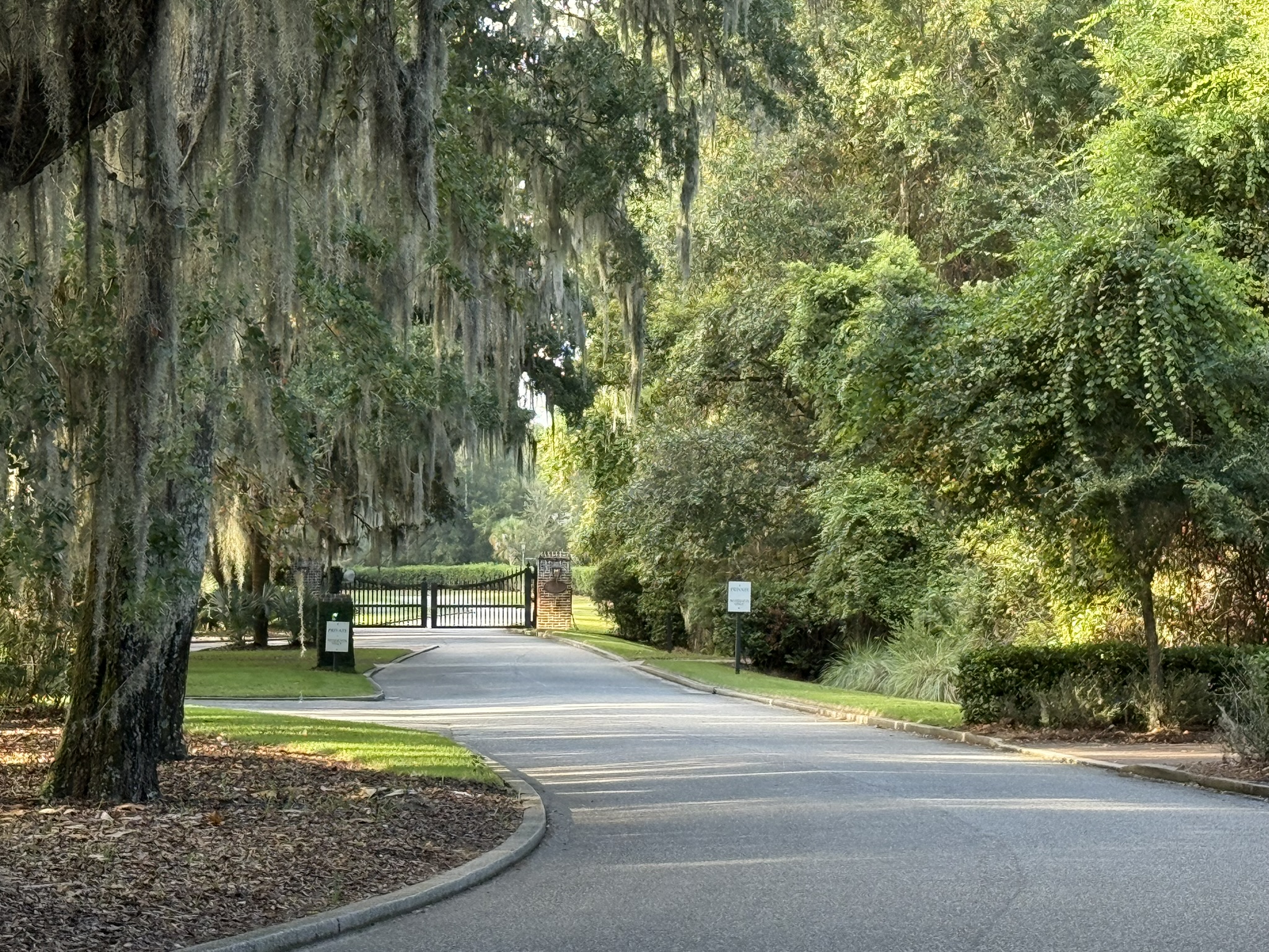 palmetto bluff