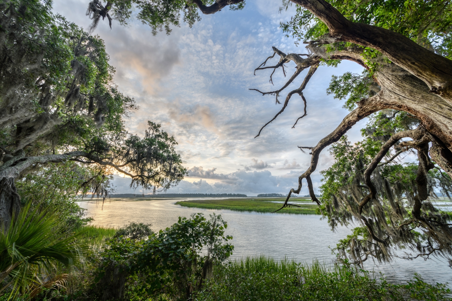 palmetto bluff