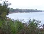 palmetto bluff sc