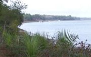 palmetto bluff sc