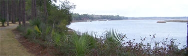 palmetto bluff sc