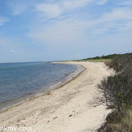 Martha's Vineyard Beach