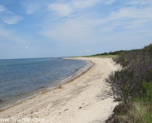 Martha's Vineyard Beach