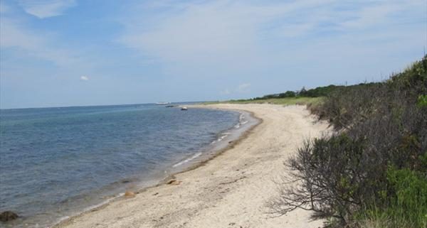 Martha's Vineyard Beach