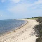 Martha's Vineyard Beach