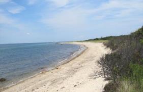 Martha's Vineyard Beach