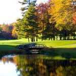 16th-Fairway-connestee-falls