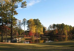 cypress landing nc