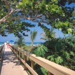 Florida nature walkway