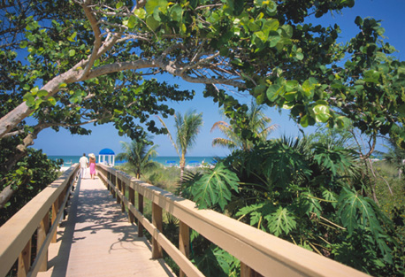Florida nature walkway