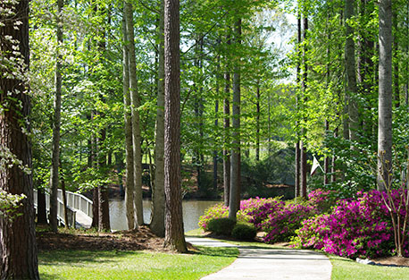 cypress landing nc