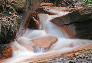 connestee falls nc