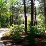 martha's vineyard home for sale