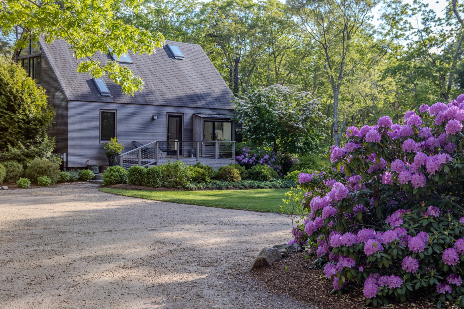 Cool Mink Meadows Marthas Vineyard Gallery