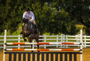 Florida equestrian club