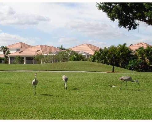 ibis golf & country club