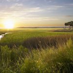 the landings on skidaway island