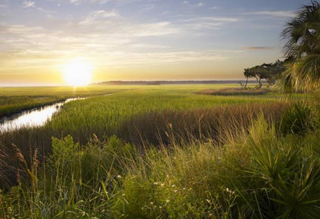 the landings on skidaway island