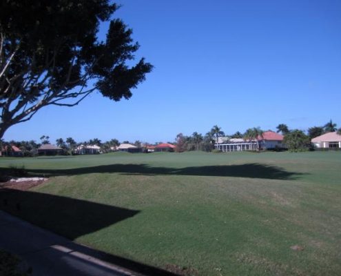 ibis golf & country club