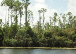 florida waterfront community