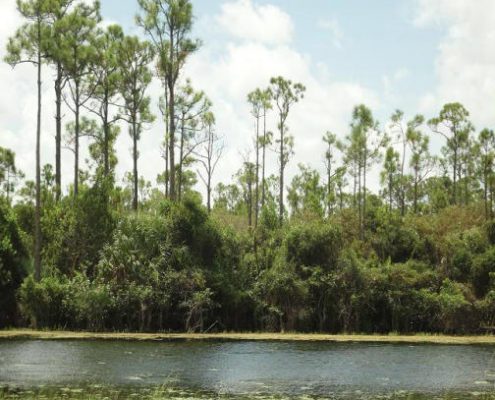 florida waterfront community