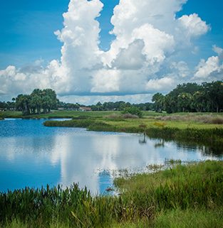 indian river colony club