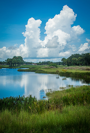 indian river colony club