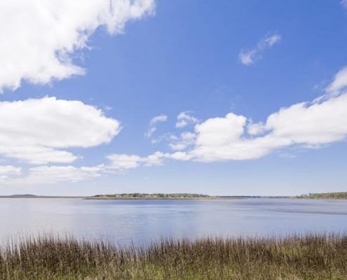 georgia waterfront community