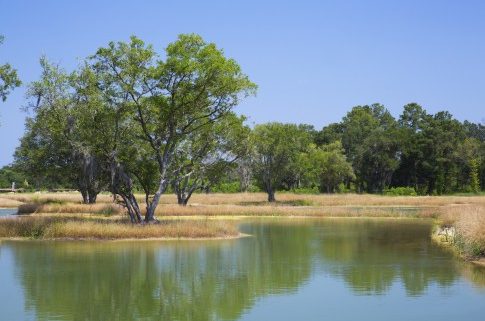 daniel island sc