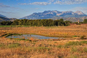 red ledges ut