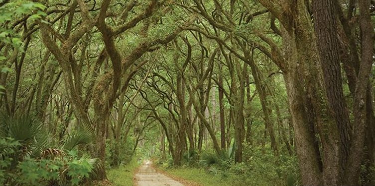 conservancy