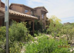 outdoor living scottsdale az