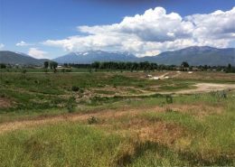 Mt Timpanogos Views