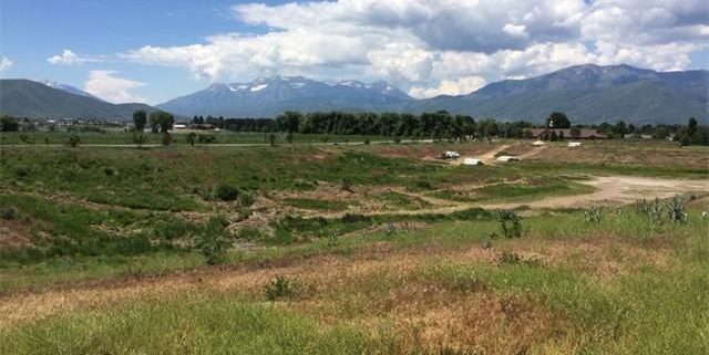 Mt Timpanogos Views