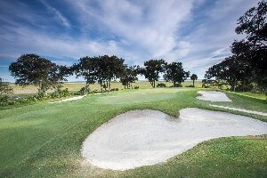 the landings on skidaway island