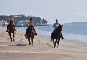 hilton head