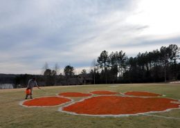 clemson