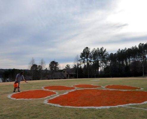 clemson