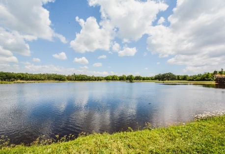 Innisbrook golf condo