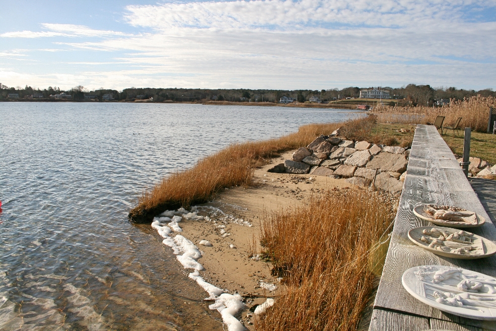 commercial waterfront