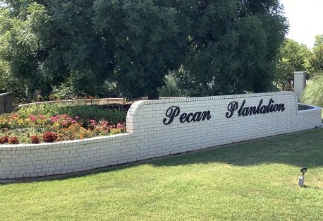 pecan plantation