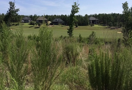 Twin Pond Estates at Woodside Homesite